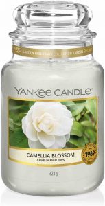 Yankee-Candle-Fragranza-del-mese-Maggio-2021-Camelia-Blossom-Fiore-Camelia