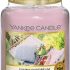 Le Fragranze Yankee Candle del Mese – La Miglior Fragranza del Mese Yankee Candle