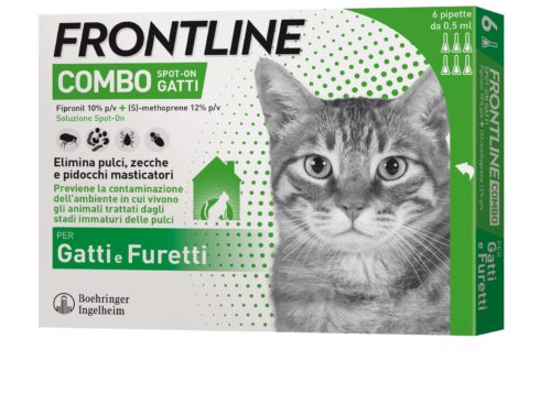 Frontline Combo Spot-On antiparassitario per gatti e furetti 6 pipette 0,5ml