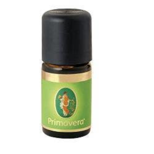 Primavera Zenzero olio essenziale puro 5ml